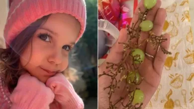Alice Emanuelli Pereira Bacelar, de 3 anos, morreu durante uma cirurgia — Foto: Arquivo pessoal