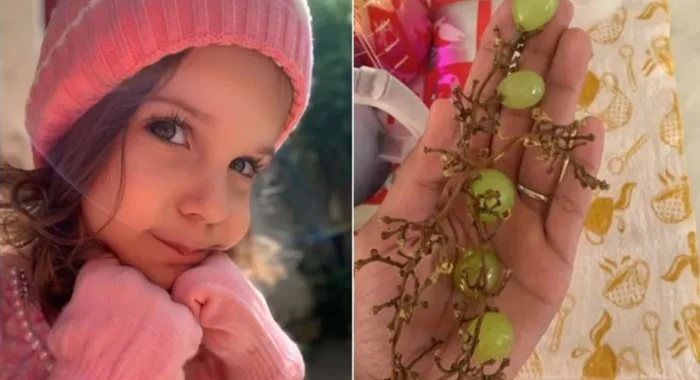 Alice Emanuelli Pereira Bacelar, de 3 anos, morreu durante uma cirurgia — Foto: Arquivo pessoal