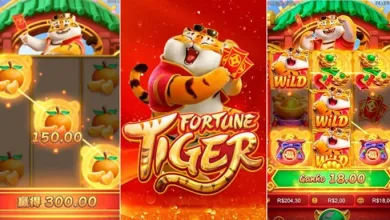 Fortune Tiger é um cassino online ilegal no Brasil, mas que ficou famoso através de influencers — Foto: Reprodução