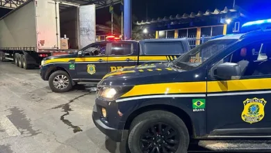 365 mil maços de cigarros contrabandeados são apreendidos pela PRF. Foto: Reprodução/PRF