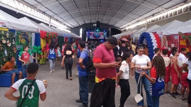 Colégio Interação promove XXIII Expoculturarte - Foto: Divulgção