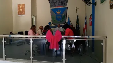 Vereadores durante sessão ordinária - Foto: Reprodução/Vídeo
