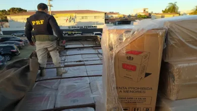 Carga com 420 mil maços de cigarros clandestinos é apreendida