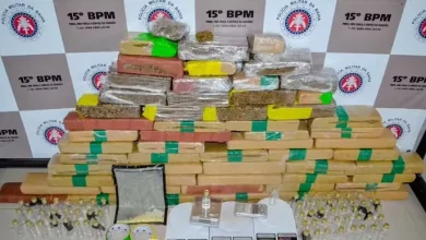 Material apreendido por policiais — Foto: Divulgação/SSP-BA