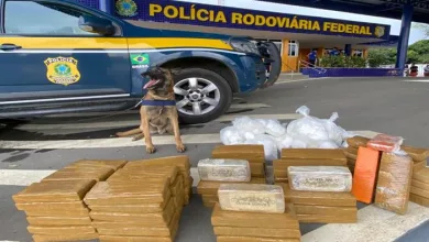 Maconha, cocaína e crack são apreendidos na BR-116. Foto: Reprodução/ Nucom PRF