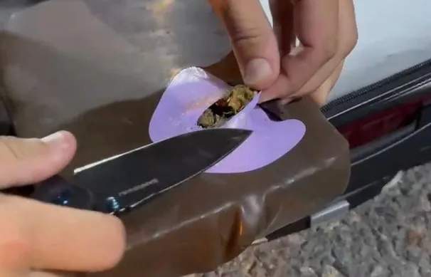 17 Kg de maconha são apreendidos pela PRF durante abordagem a ônibus na BR-116 - Foto: Reprodução/ Nucom PRF