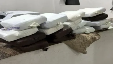 17 Kg de maconha são apreendidos pela PRF durante abordagem a ônibus na BR-116 - Foto: Reprodução/ Nucom PRF