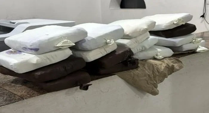 17 Kg de maconha são apreendidos pela PRF durante abordagem a ônibus na BR-116 - Foto: Reprodução/ Nucom PRF