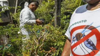 Brasil registra mais de 2 milhões de casos de dengue- Foto: Reprodução/Paulo Pinto/Agência Brasil