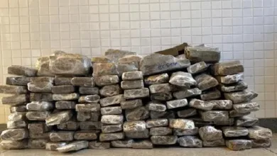 Cerca de 100kg de maconha são apreendidos pela polícia - Foto: Divulgação | 4ª CIPM