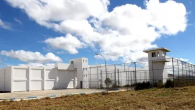 Mulher é presa após tentar entrar em presídio com celulares dentro de TV - Foto: Reprodução/Radar News