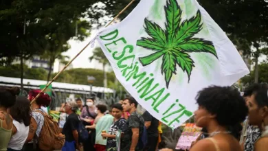 Conforme os votos proferidos até o momento, há maioria para fixar uma quantidade de maconha para caracterizar uso pessoal, e não tráfico de drogas - Foto: Raphael Muller I Ag. A TARDE