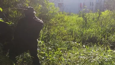 Suspeito invadiu presído através de área de mata, em Salvador — Foto: Reprodução/Redes Sociais