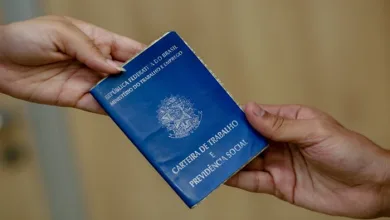 BERIMBAU: Secretaria de Desenvolvimento Econômico realiza coleta de currículos para novos cadastros - Imagem ilustrativa