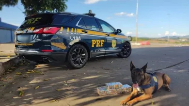 Polícia apreende cocaína avaliada em mais de R$ 800 mil - Foto: Divulgação/PRF