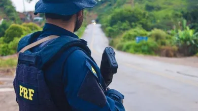 Suspeito foi preso pouco depois de roubar o caminhão- Foto: Divulgação/PRF