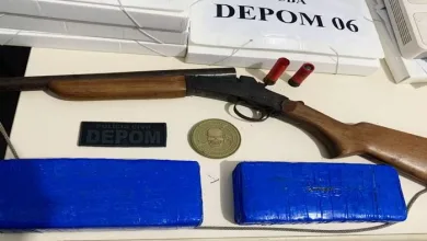 Drogas e armas foram apreendidas — Foto: Divulgação/Polícia Civil