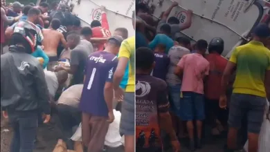 VÍDEO: Caminhão tomba e população rouba carga de frango na BR-101 - Foto: Reprodução | Redes Sociais