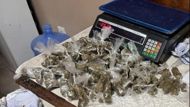 Polícia Militar troca tiros e apreende mais de mil porções de drogas- Foto: Divulgação/PM
