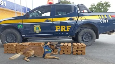 A droga e o suspeitos foram conduzidos à Polícia Civil - Foto: Divulgação