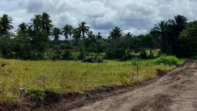 RECANTO DAS OLIVEIRAS: Adquira lotes com parcelas a partir de R$ 139,00- Foto: Divulgação