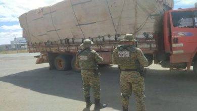 Polícia apreende caminhão carregado com 20 toneladas de angico ilegal- Foto: Divulgação/ PM