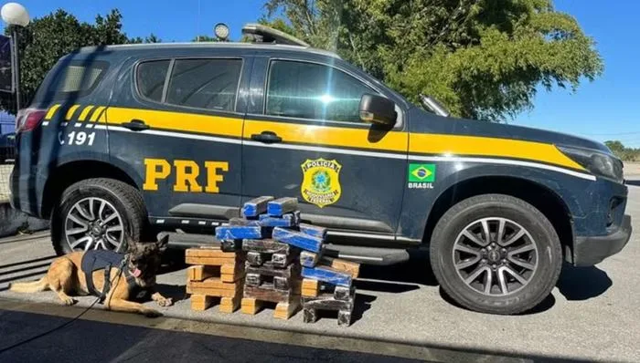 PRF apreende 67 kg de maconha em ônibus interestadual na BR-116 — Foto: Polícia Rodoviária Federal