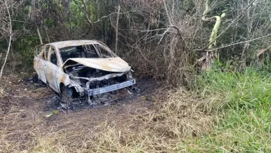 Carro foi encontrado carbonizado em região de mata — Foto: Redes sociais