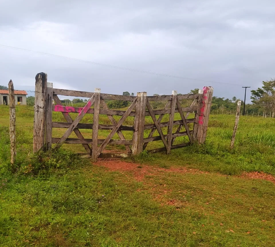 Fazenda é invadida e 5 bovinos são mortos em Terra Nova; suspeitos levaram carnes dos animais - Foto: Reprodução