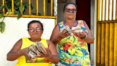 Moradoras de Conceição do Jacuípe denunciam atos de vandalismo em suas residências- Foto: Fala Genefax