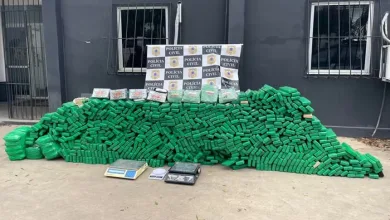 Cerca de uma tonelada de droga apreendida — Foto: PC-BA