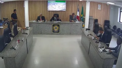 Sessão Ordinária da Câmara Municipal de Amélia Rodrigues - Foto: Reprodução/Vídeo