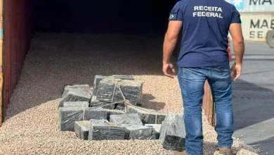 Fiscalização na Bahia apreende quase uma tonelada de cocaína que iria para a Bélgica — Foto: Divulgação/Receita Federal