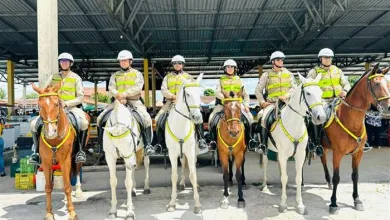 Operação Cavalo de Troia tem como objetivo fortalecer a segurança em dias de feira livre - Foto: Reprodução/DECOM
