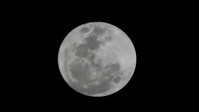 Calendário astronômico de 2025: confira quando haverá chuvas de meteoro e eclipses- Foto: Reprodução/ Paulo Pinto/Agência Brasil