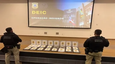 Operação realizada da Polícia Civil da Bahia — Foto: Reprodução/ Polícia Civil