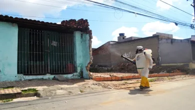 Vacinação contra a dengue e eliminação de focos do mosquito movimentam Feira de Santana - Foto: Reprodução/ Jorge Magalhães