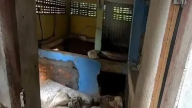 Corpo de homem é encontrado parcialmente enterrado em imóvel - Foto: Reprodução
