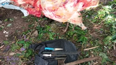 Carne de abate clandestino é apreendida no sul da Bahia — Foto: Reprodução/ Secom Prefeitura Itabuna