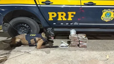 PRF apreende drogas e mercadorias irregulares em ônibus na BR-116, em Feira de Santana- Foto: Divulgação/PRF