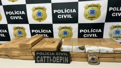 Polícia Civil apreende mais de 31 quilos de maconha durante operação- Foto: Divulgação/ Ascom PC