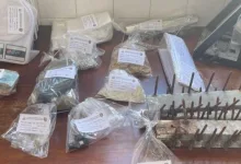 Polícia Militar desarticula ponto de tráfico de drogas