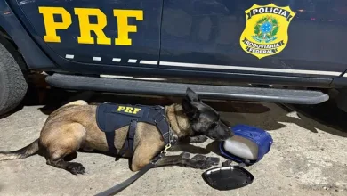 PRF apreende maconha escondidas em garrafa térmica na BR-116 em Feira de Santana