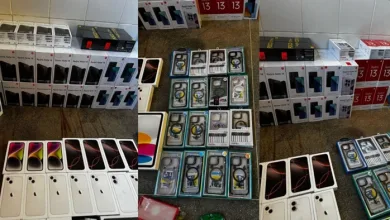 Polícia Rodoviária apreende eletrônicos e suplementos sem nota fiscal em operação- Foto: Reprodução