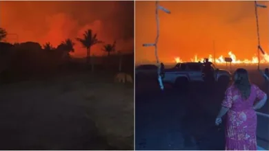 Incêndio atinge Chapada Diamantina. Foto: Reprodução / Redes Sociais