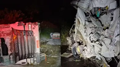 Duas pessoas morrem e uma fica ferida após batida entre dois caminhões e carro no sul da Bahia — Foto: Reprodução/Redes Sociais