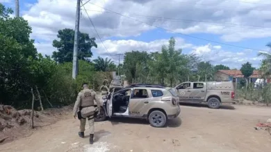 Homem fugiu após matar um animal a facadas em Feira de Santana