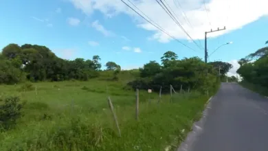 Crânios humanos ainda não foram identificados. Foto: Reprodução/Google Street View