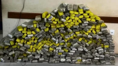 Cerca de 300 kg de maconha são encontrados em área de matagal- Foto: Reprodução/Rondesp