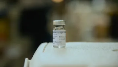 Vacina universal contra a gripe aviária avança e pode prevenir nova pandemia